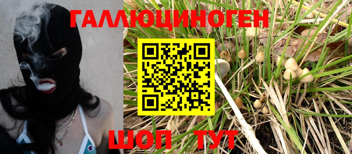 Псилоцибиновые грибы мицелий Удомля