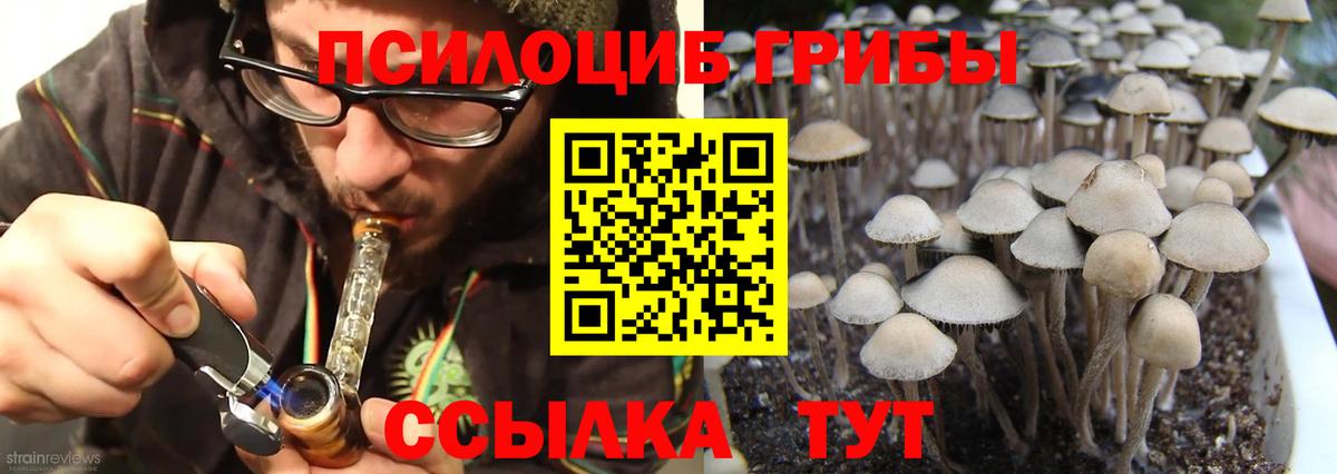 Галлюциногенные грибы Cubensis  Вход с VPN  Удомля  Галлюциногенные грибы GOLDEN TEACHER 