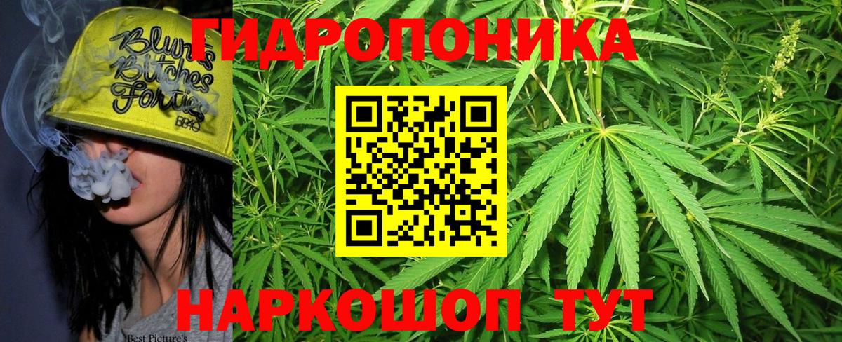 Каннабис Amnesia  Вход с VPN  Удомля  Марихуана OG Kush  Бошки Шишки AK-47  Шишки марихуана AK-47 